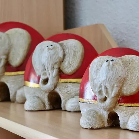 Janja Apartament *